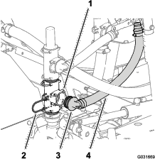 g031669