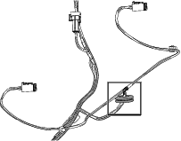 g207891