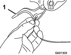g001303