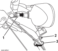 g016761