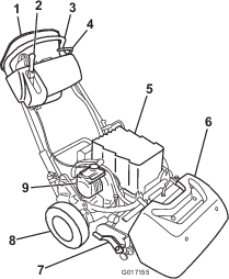 g017155