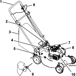 g024157