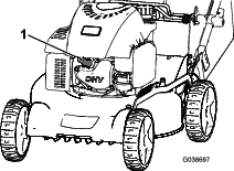 g038697