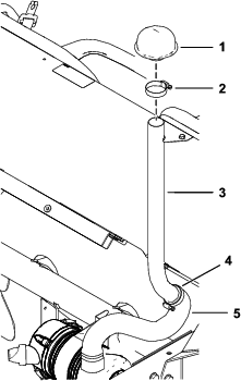 g255981