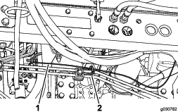 g030782