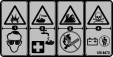 decal125-8473