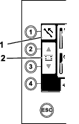 g232381