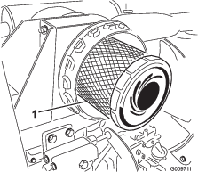 g009711