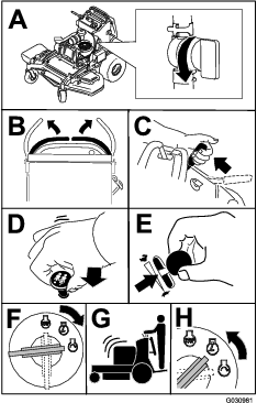 g030981