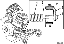 g031398