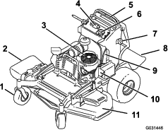 g031446
