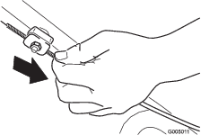 g005011
