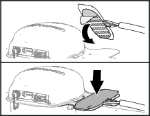 g309764