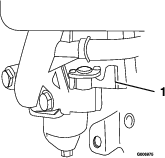 g006975