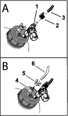g206581