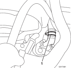 g017991