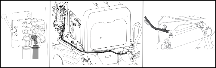 Graphic
