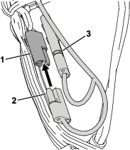 g433650
