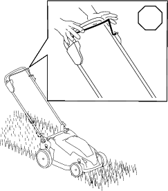 g410266