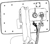 g420566