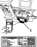 g219917