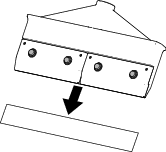 g576809