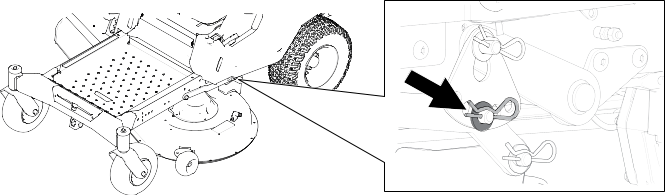 Graphic