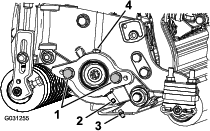 g031255