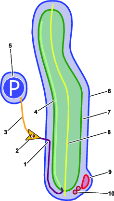 g539399