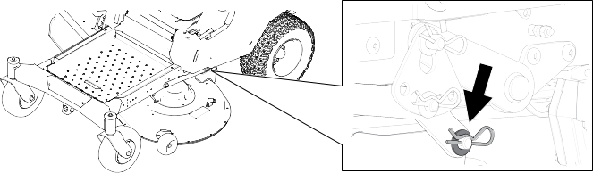 Graphic