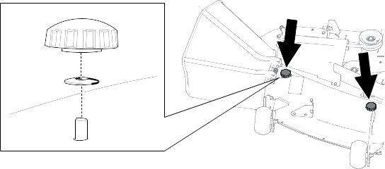 Graphic
