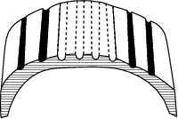 g395581