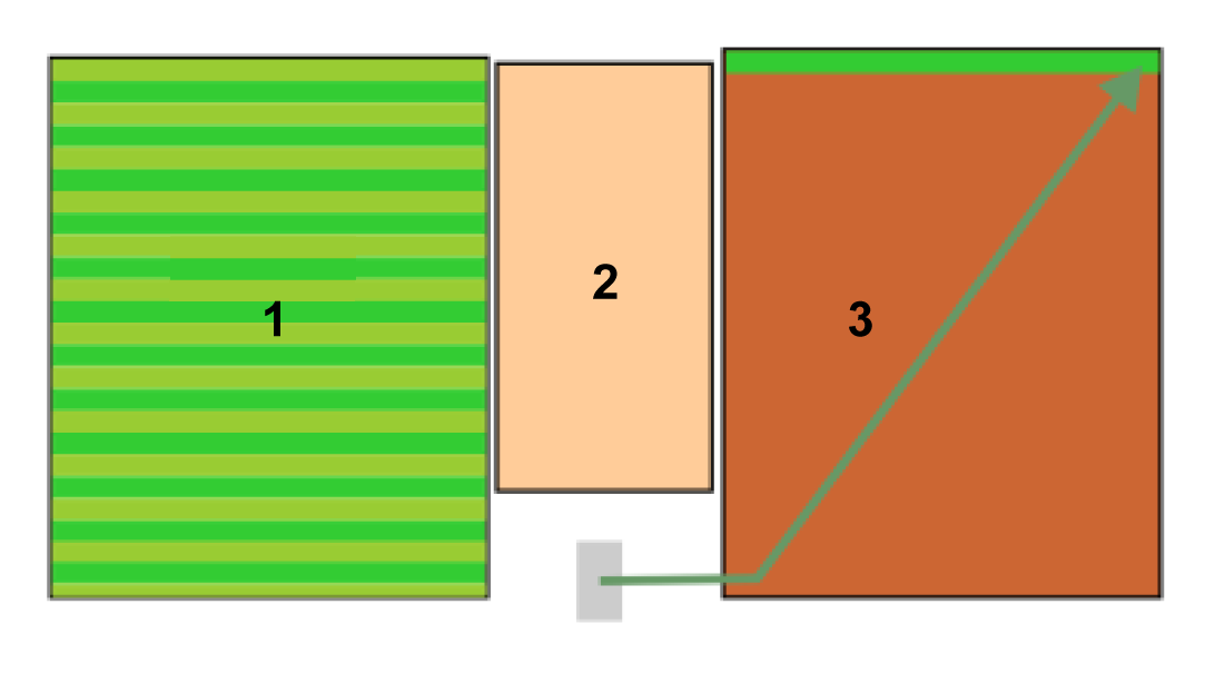 Graphic