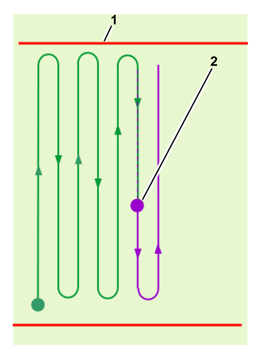 Graphic