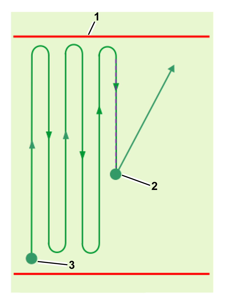 Graphic