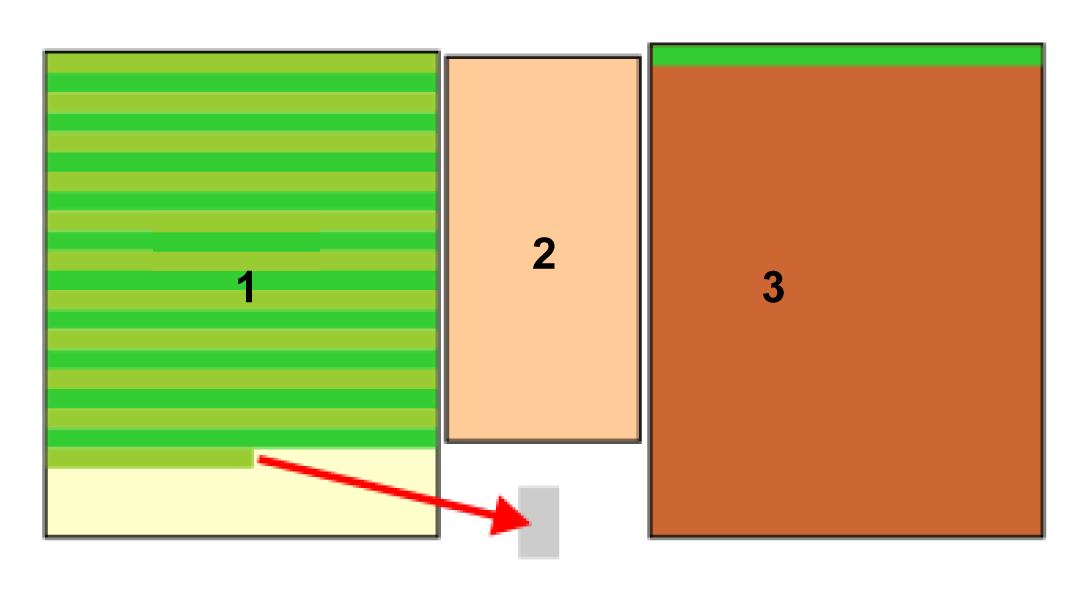 Graphic