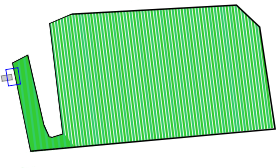 Graphic