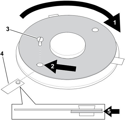 Graphic