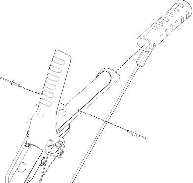 Graphic