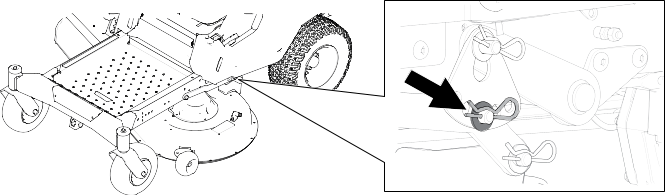 Graphic
