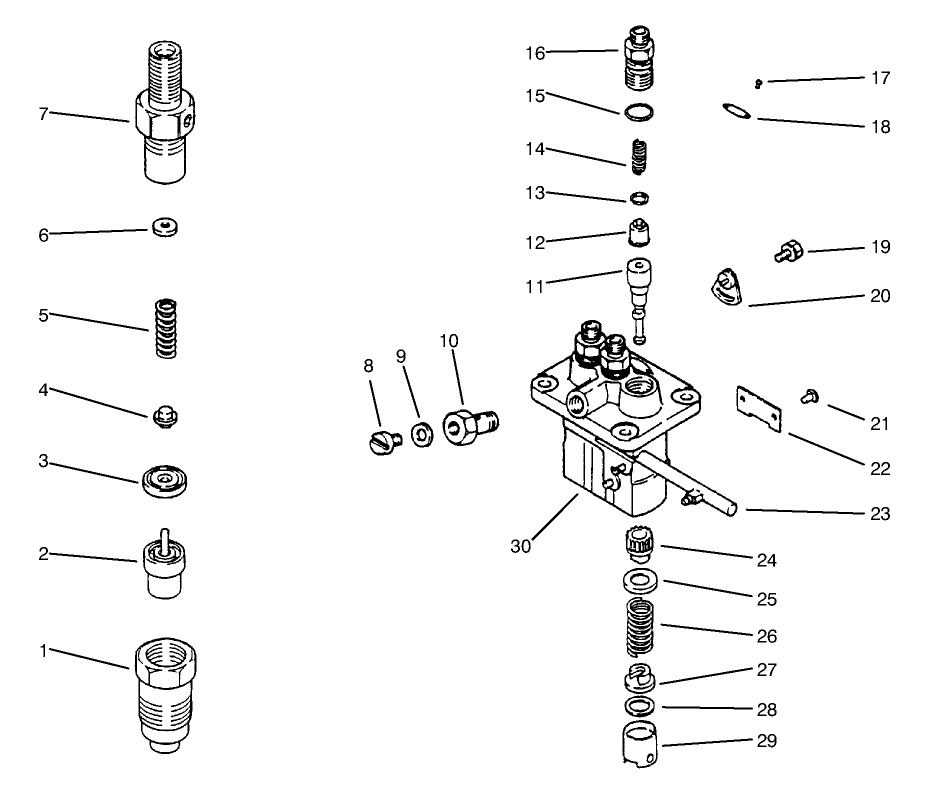 Fuel Injection Pump Assembly