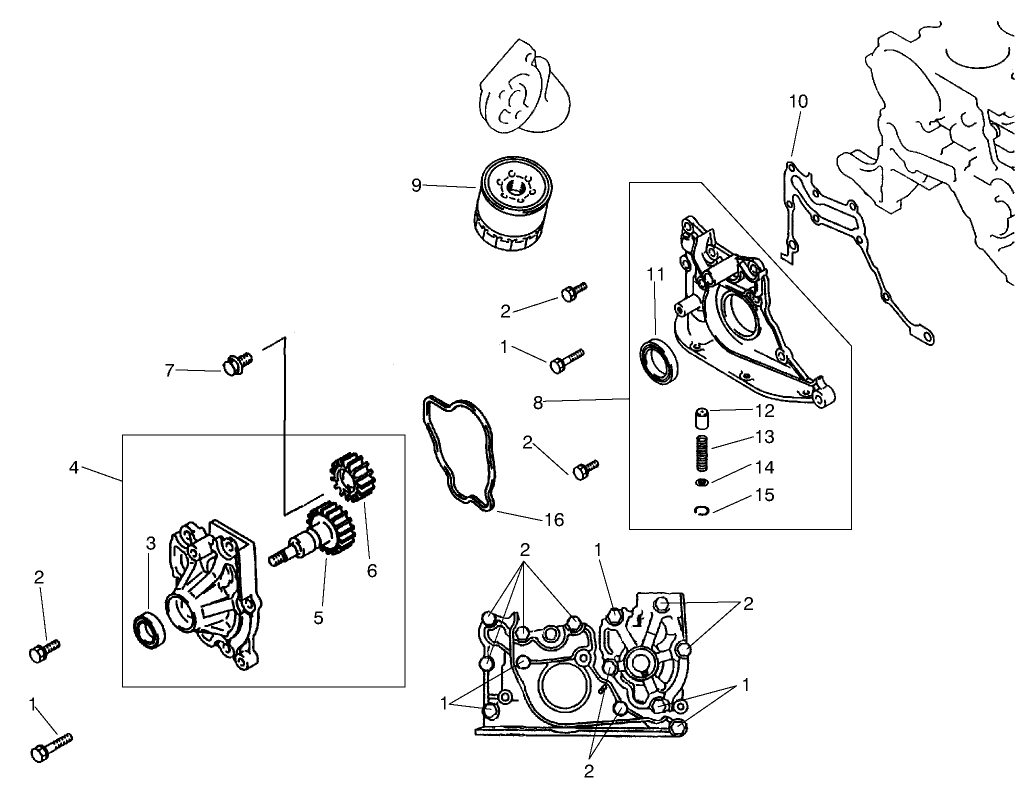Oil Pump & Filter Assembly
