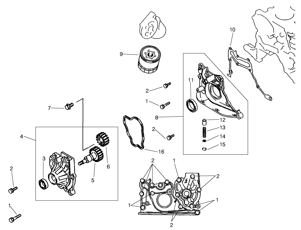 Oil Pump & Filter Assembly