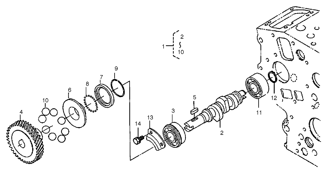 Fuel Camshaft Assembly