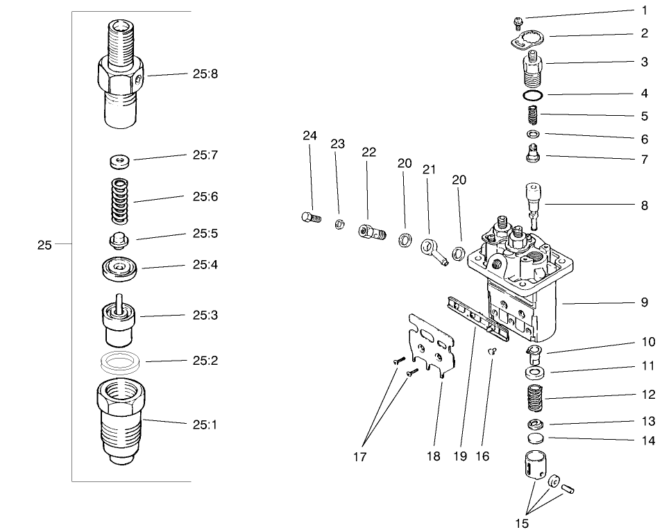 Fuel Injection Pump Assembly