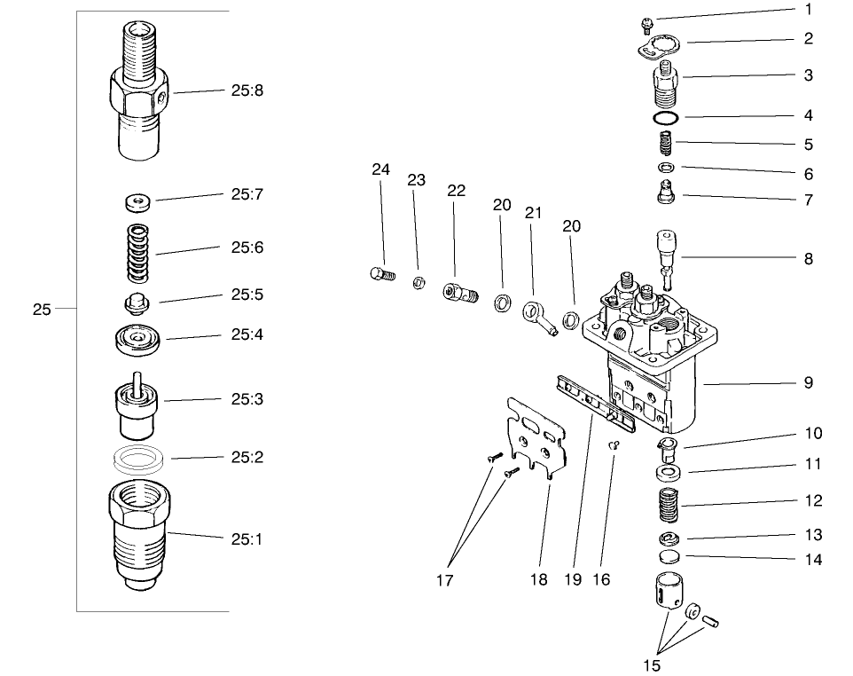 Fuel Injection Pump Assembly