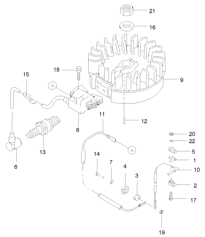 Flywheel And Ignition Assembly
