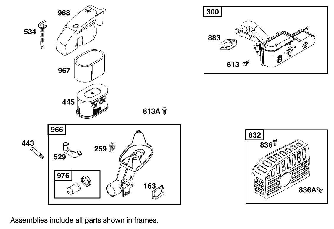 Air Cleaner Assembly