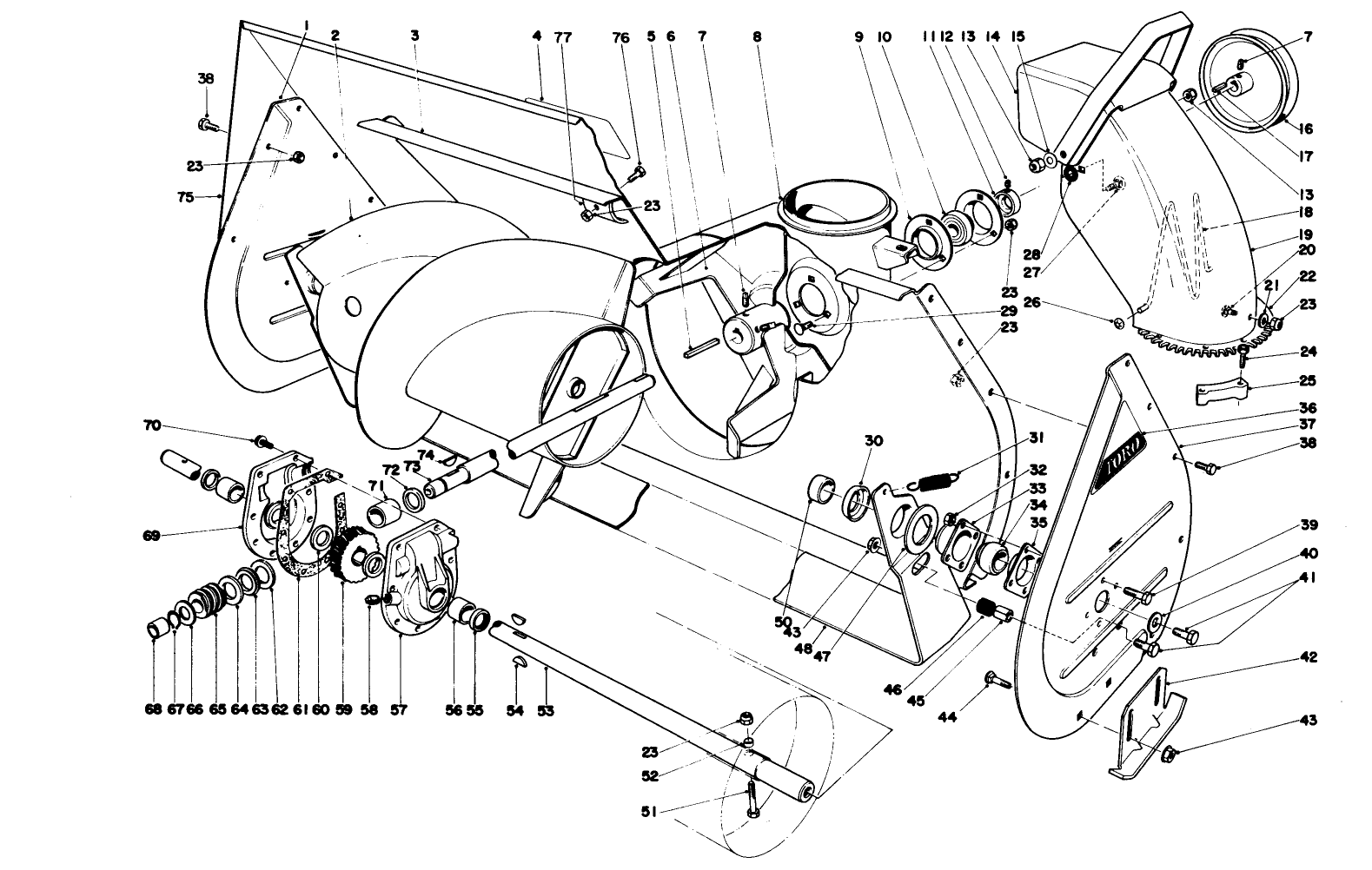 Auger Assembly