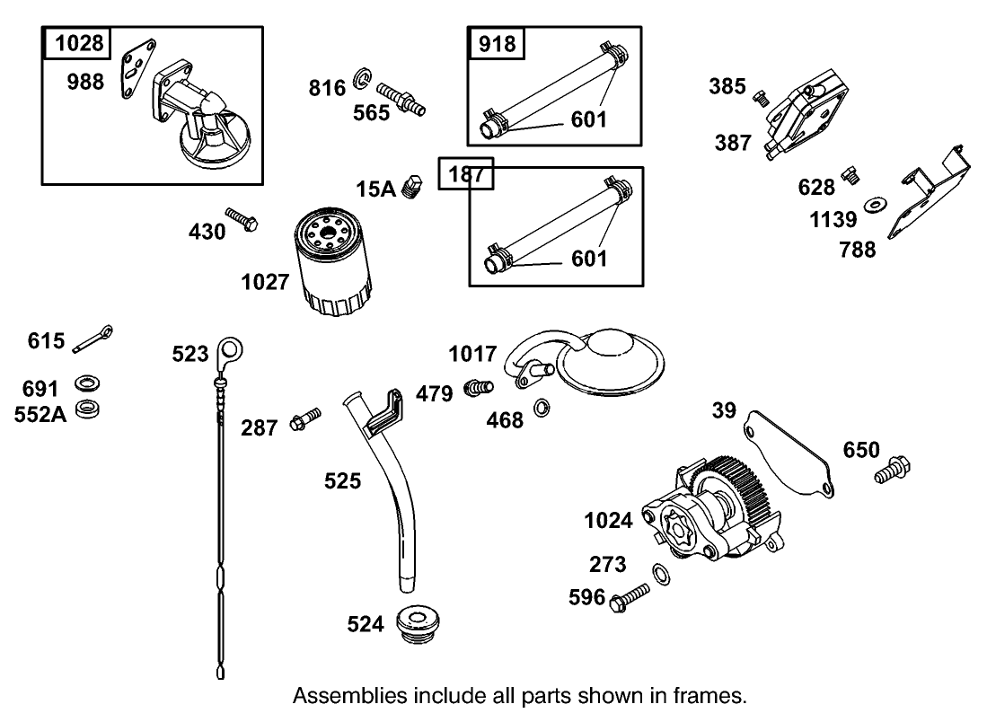 Fuel Pump, Oil Pump And Dipstick Assembly Briggs And Stratton Model 350447-1259-E1